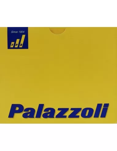 Palazzoli 272302 cam switch 3x40a sch2 met 2f1